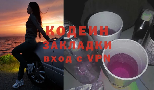 хмурый Богородск