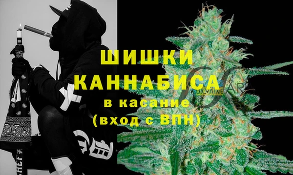 МДПВ Бородино