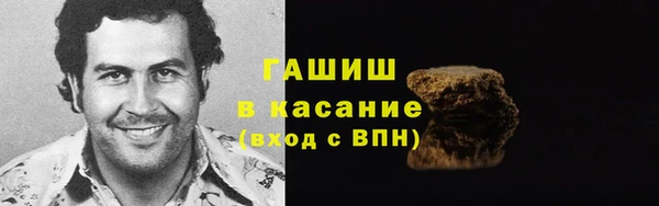 МДПВ Бородино