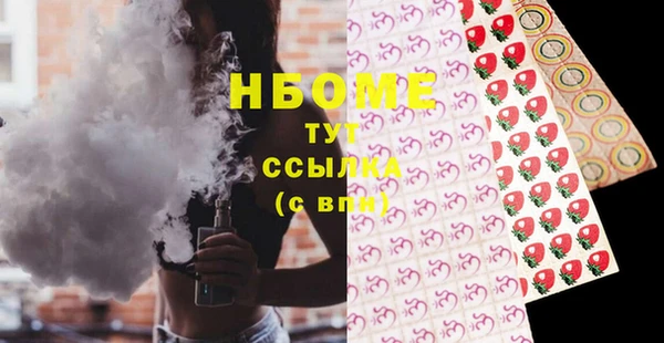 МДПВ Бородино