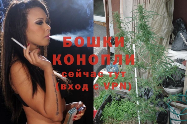 МДПВ Бородино