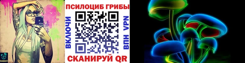 Псилоцибиновые грибы GOLDEN TEACHER  kraken tor  Чудово  купить наркотик 