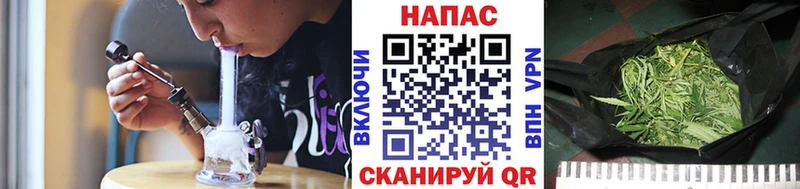 Марихуана гибрид  Чудово 